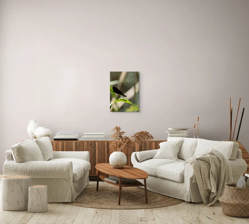 Tablou Canvas, "Libelula odihnindu-se pe frunză verde", Libelulă, Frunză, Umbră, Natură, Verde, Zburătoare, Delicatețe, Antene., 39 x 54 cm – poza 5