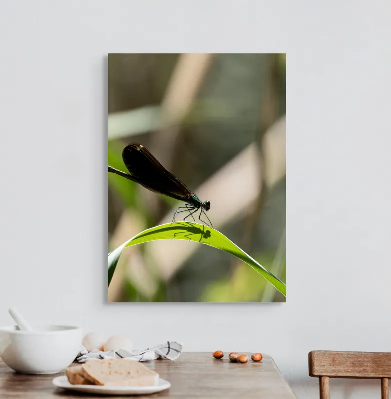 Tablou Canvas, "Libelula odihnindu-se pe frunză verde", Libelulă, Frunză, Umbră, Natură, Verde, Zburătoare, Delicatețe, Antene., 50 x 70 cm – poza 3