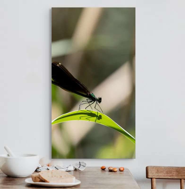 Tablou Canvas, "Libelula odihnindu-se pe frunză verde", Libelulă, Frunză, Umbră, Natură, Verde, Zburătoare, Delicatețe, Antene., 50 x 90 cm – poza 3
