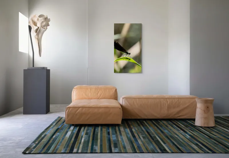Tablou Canvas, "Libelula odihnindu-se pe frunză verde", Libelulă, Frunză, Umbră, Natură, Verde, Zburătoare, Delicatețe, Antene., 50 x 90 cm – poza 5