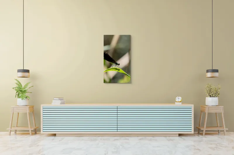 Tablou Canvas, "Libelula odihnindu-se pe frunză verde", Libelulă, Frunză, Umbră, Natură, Verde, Zburătoare, Delicatețe, Antene., 50 x 90 cm – poza 6