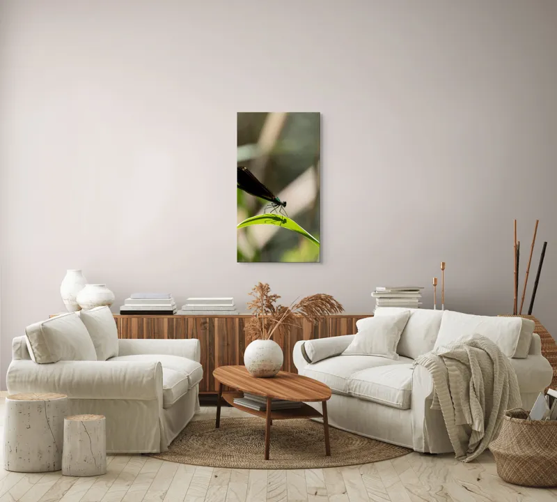 Tablou Canvas, "Libelula odihnindu-se pe frunză verde", Libelulă, Frunză, Umbră, Natură, Verde, Zburătoare, Delicatețe, Antene., 50 x 90 cm – poza 7