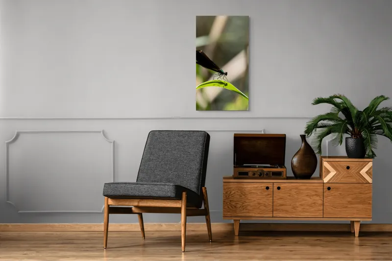 Tablou Canvas, "Libelula odihnindu-se pe frunză verde", Libelulă, Frunză, Umbră, Natură, Verde, Zburătoare, Delicatețe, Antene., 50 x 90 cm – poza 8