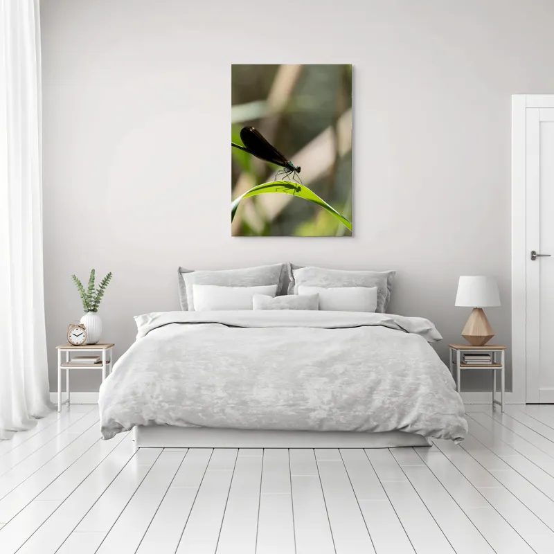 Tablou Canvas, "Libelula odihnindu-se pe frunză verde", Libelulă, Frunză, Umbră, Natură, Verde, Zburătoare, Delicatețe, Antene., 70 x 100 cm – poza 3