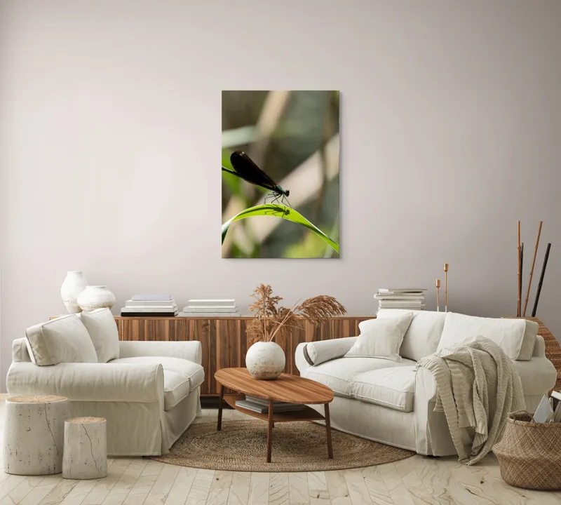 Tablou Canvas, "Libelula odihnindu-se pe frunză verde", Libelulă, Frunză, Umbră, Natură, Verde, Zburătoare, Delicatețe, Antene., 70 x 100 cm – poza 4