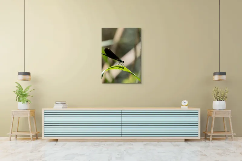 Tablou Canvas, "Libelula odihnindu-se pe frunză verde", Libelulă, Frunză, Umbră, Natură, Verde, Zburătoare, Delicatețe, Antene., 70 x 100 cm – poza 5