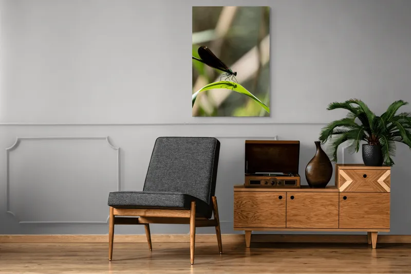 Tablou Canvas, "Libelula odihnindu-se pe frunză verde", Libelulă, Frunză, Umbră, Natură, Verde, Zburătoare, Delicatețe, Antene., 70 x 100 cm – poza 6
