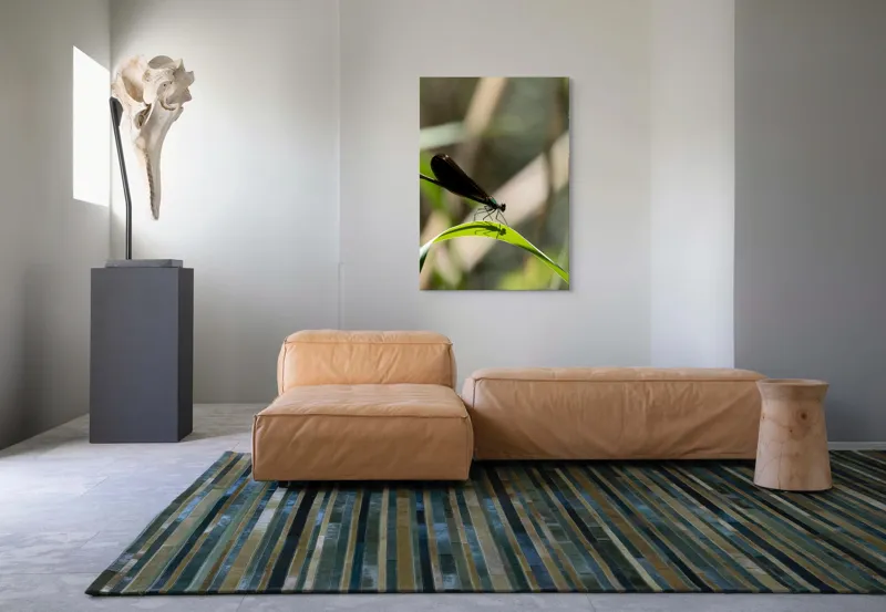 Tablou Canvas, "Libelula odihnindu-se pe frunză verde", Libelulă, Frunză, Umbră, Natură, Verde, Zburătoare, Delicatețe, Antene., 70 x 100 cm – poza 7