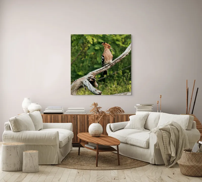 Tablou Canvas, "Vioiciunea culorilor în natură", Pasăre, Creastă, Bej, Cioc Lung, Ramură, Vegetație, Natură., 100 x 100 cm – poza 3