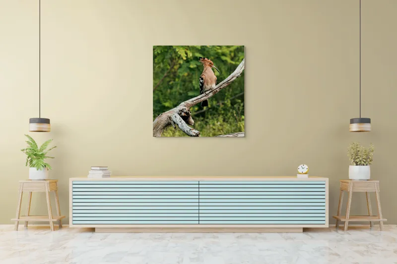 Tablou Canvas, "Vioiciunea culorilor în natură", Pasăre, Creastă, Bej, Cioc Lung, Ramură, Vegetație, Natură., 100 x 100 cm – poza 5