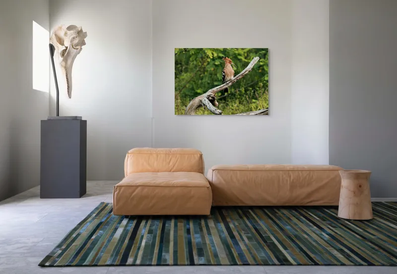Tablou Canvas, "Vioiciunea culorilor în natură", Pasăre, Creastă, Bej, Cioc Lung, Ramură, Vegetație, Natură., 100 x 70 cm – poza 7