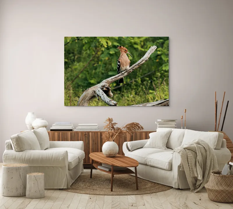Tablou Canvas, "Vioiciunea culorilor în natură", Pasăre, Creastă, Bej, Cioc Lung, Ramură, Vegetație, Natură., 150 x 100 cm – poza 3