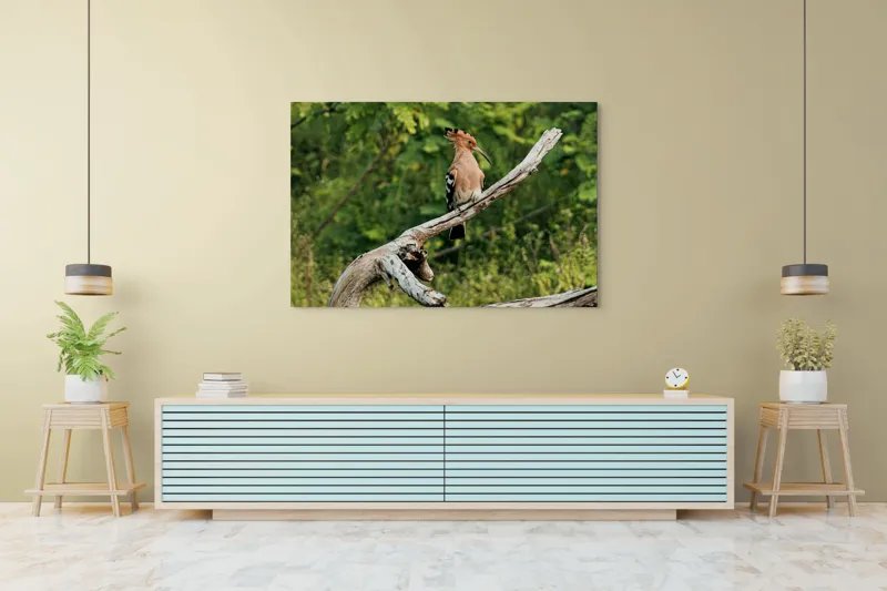 Tablou Canvas, "Vioiciunea culorilor în natură", Pasăre, Creastă, Bej, Cioc Lung, Ramură, Vegetație, Natură., 150 x 100 cm – poza 6