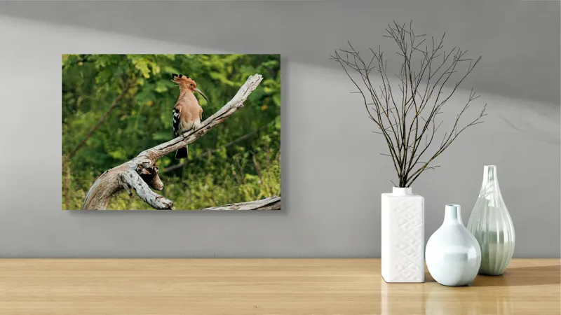 Tablou Canvas, "Vioiciunea culorilor în natură", Pasăre, Creastă, Bej, Cioc Lung, Ramură, Vegetație, Natură., 54 x 39 cm – poza 3