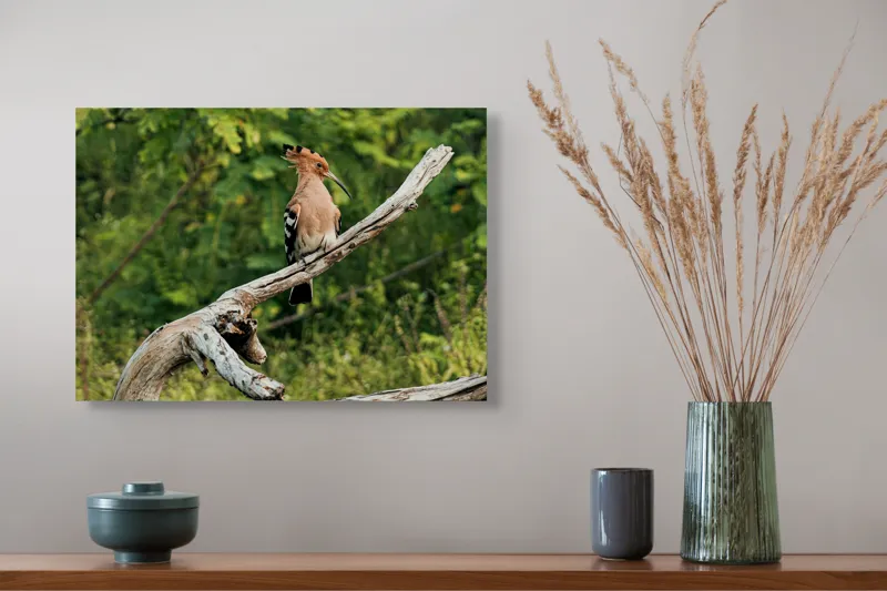 Tablou Canvas, "Vioiciunea culorilor în natură", Pasăre, Creastă, Bej, Cioc Lung, Ramură, Vegetație, Natură., 54 x 39 cm – poza 4