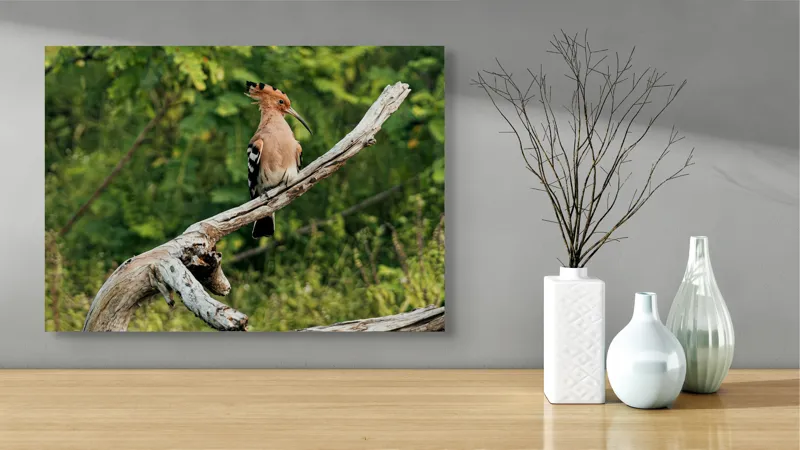 Tablou Canvas, "Vioiciunea culorilor în natură", Pasăre, Creastă, Bej, Cioc Lung, Ramură, Vegetație, Natură., 70 x 50 cm – poza 3