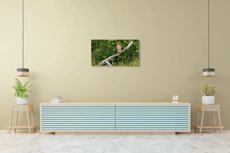 Tablou Canvas, "Vioiciunea culorilor în natură", Pasăre, Creastă, Bej, Cioc Lung, Ramură, Vegetație, Natură., 90 x 50 cm – poza 5