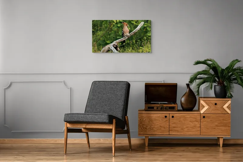 Tablou Canvas, "Vioiciunea culorilor în natură", Pasăre, Creastă, Bej, Cioc Lung, Ramură, Vegetație, Natură., 90 x 50 cm – poza 6