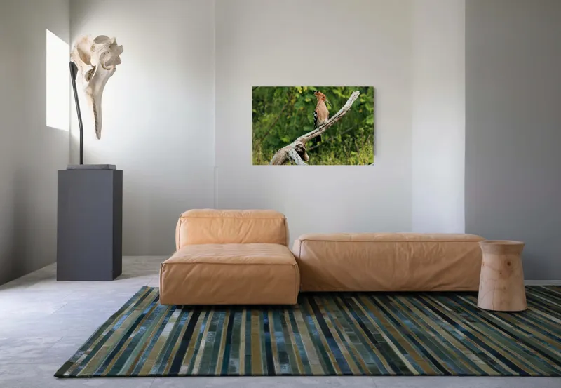 Tablou Canvas, "Vioiciunea culorilor în natură", Pasăre, Creastă, Bej, Cioc Lung, Ramură, Vegetație, Natură., 90 x 50 cm – poza 8