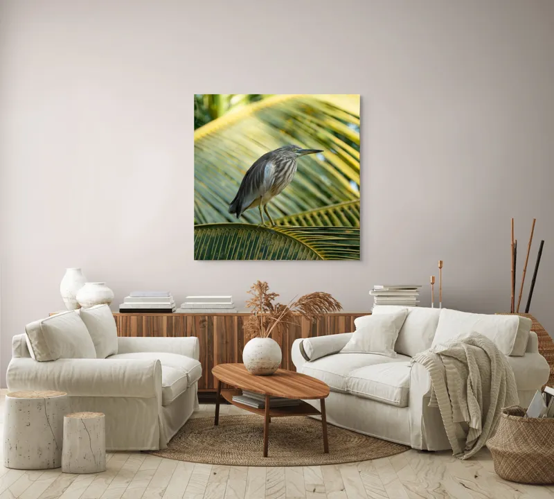 Tablou Canvas, "Egreta pe frunza de palmier", Pasăre, Palmier, Penaj, Verde, Natură, Lumina, Aripi, Tropical., 100 x 100 cm – poza 3