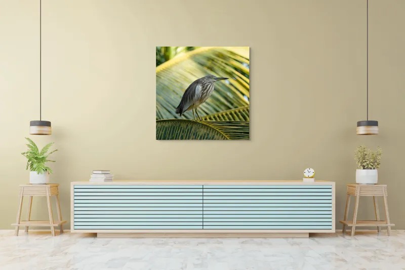 Tablou Canvas, "Egreta pe frunza de palmier", Pasăre, Palmier, Penaj, Verde, Natură, Lumina, Aripi, Tropical., 100 x 100 cm – poza 5