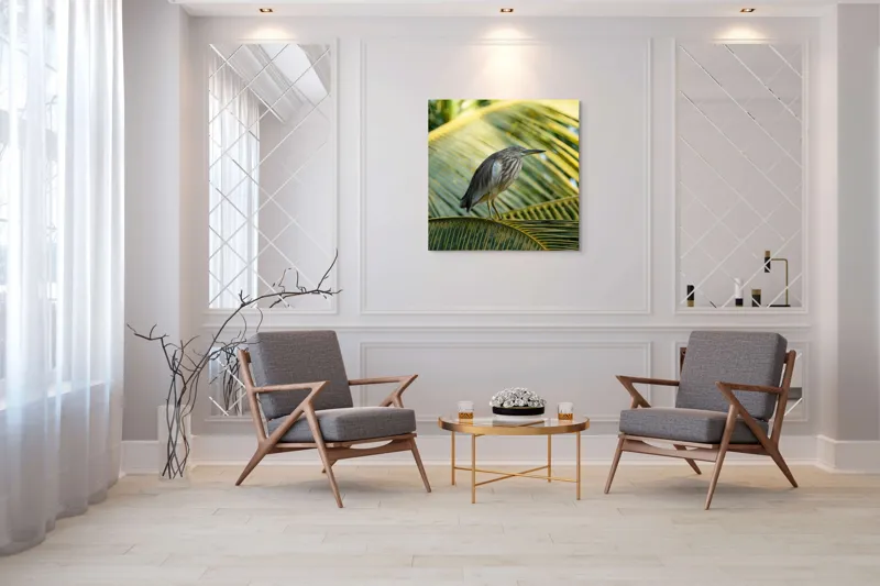 Tablou Canvas, "Egreta pe frunza de palmier", Pasăre, Palmier, Penaj, Verde, Natură, Lumina, Aripi, Tropical., 100 x 100 cm – poza 7