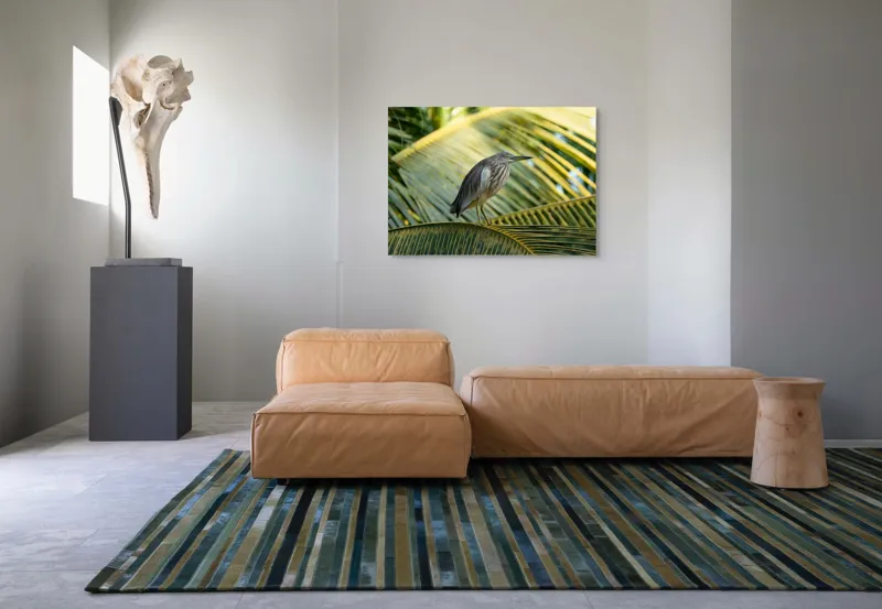 Tablou Canvas, "Egreta pe frunza de palmier", Pasăre, Palmier, Penaj, Verde, Natură, Lumina, Aripi, Tropical., 100 x 70 cm – poza 7
