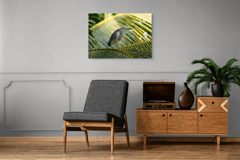 Tablou Canvas, "Egreta pe frunza de palmier", Pasăre, Palmier, Penaj, Verde, Natură, Lumina, Aripi, Tropical., 100 x 70 cm – poza 8