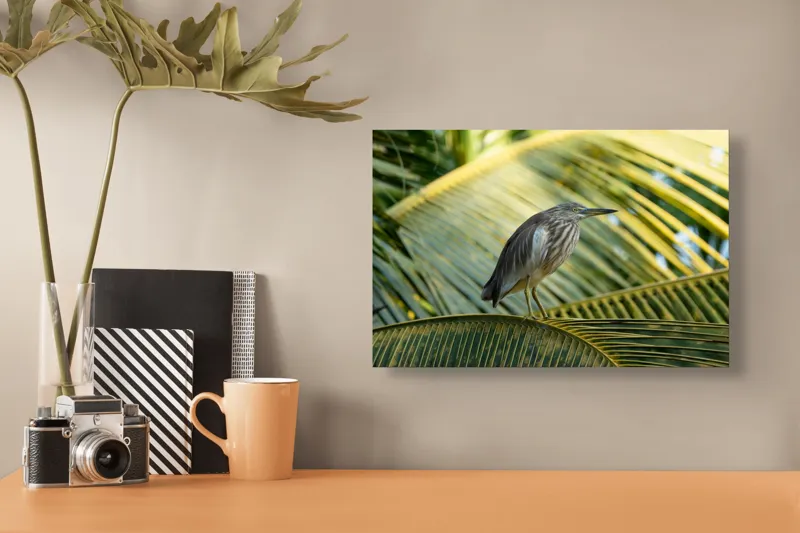 Tablou Canvas, "Egreta pe frunza de palmier", Pasăre, Palmier, Penaj, Verde, Natură, Lumina, Aripi, Tropical., 39 x 26 cm – poza 3