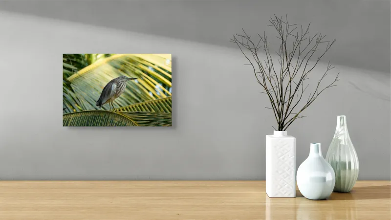 Tablou Canvas, "Egreta pe frunza de palmier", Pasăre, Palmier, Penaj, Verde, Natură, Lumina, Aripi, Tropical., 39 x 26 cm – poza 8