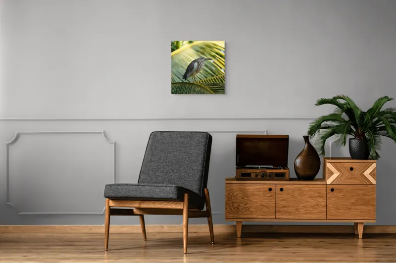 Tablou Canvas, "Egreta pe frunza de palmier", Pasăre, Palmier, Penaj, Verde, Natură, Lumina, Aripi, Tropical., 50 x 50 cm – poza 6