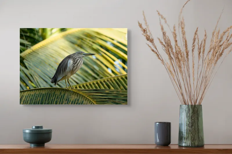 Tablou Canvas, "Egreta pe frunza de palmier", Pasăre, Palmier, Penaj, Verde, Natură, Lumina, Aripi, Tropical., 54 x 39 cm – poza 4