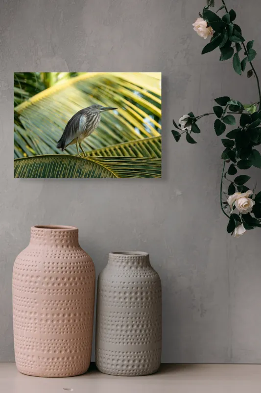 Tablou Canvas, "Egreta pe frunza de palmier", Pasăre, Palmier, Penaj, Verde, Natură, Lumina, Aripi, Tropical., 54 x 39 cm – poza 8