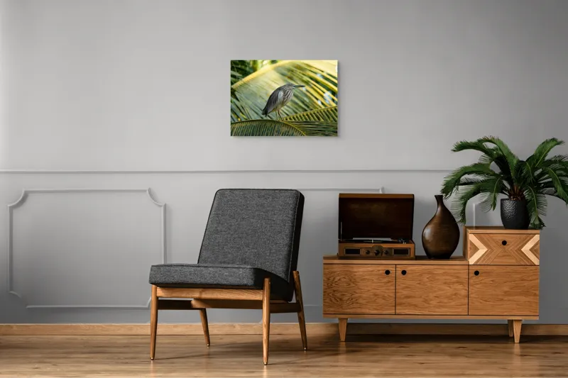 Tablou Canvas, "Egreta pe frunza de palmier", Pasăre, Palmier, Penaj, Verde, Natură, Lumina, Aripi, Tropical., 70 x 50 cm – poza 4