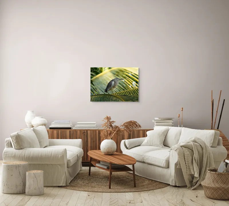 Tablou Canvas, "Egreta pe frunza de palmier", Pasăre, Palmier, Penaj, Verde, Natură, Lumina, Aripi, Tropical., 70 x 50 cm – poza 6
