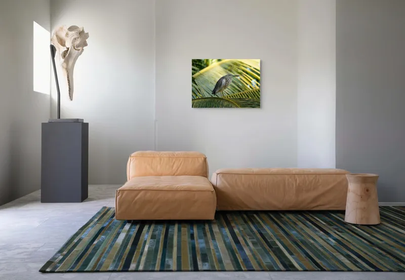 Tablou Canvas, "Egreta pe frunza de palmier", Pasăre, Palmier, Penaj, Verde, Natură, Lumina, Aripi, Tropical., 70 x 50 cm – poza 8