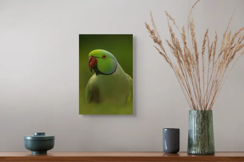 Tablou Canvas, "Papagalul în verdele naturii vii", Verde, Pene, Papagal, Cioc, Privire, Guler, Ochi, 26 x 39 cm – poza 5