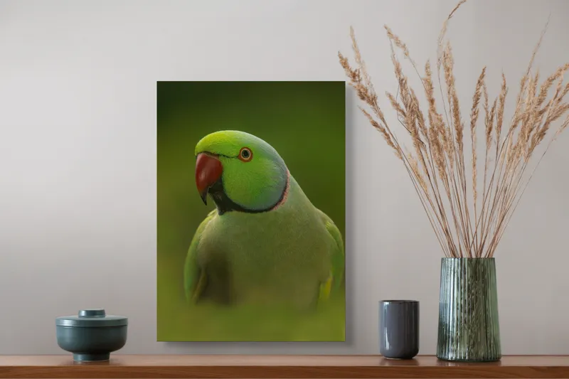 Tablou Canvas, "Papagalul în verdele naturii vii", Verde, Pene, Papagal, Cioc, Privire, Guler, Ochi, 39 x 54 cm – poza 3