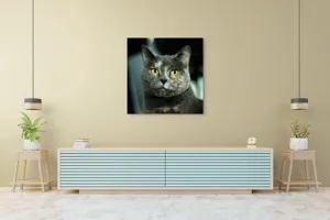 Tablou Canvas, "Misterul privirii feline enigmatic", 100 x 100 cm – poza 5