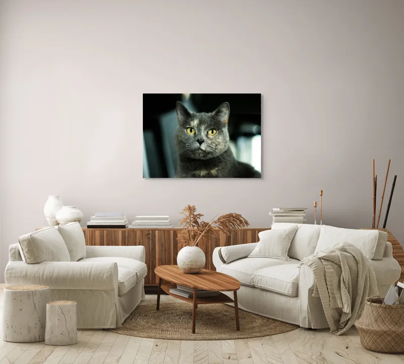 Tablou Canvas, "Misterul privirii feline enigmatic", Nu pot să îți spun cine e în imagine, dar pot să te ajut cu altceva legat de pisici sau fotografie., 100 x 70 cm – poza 3