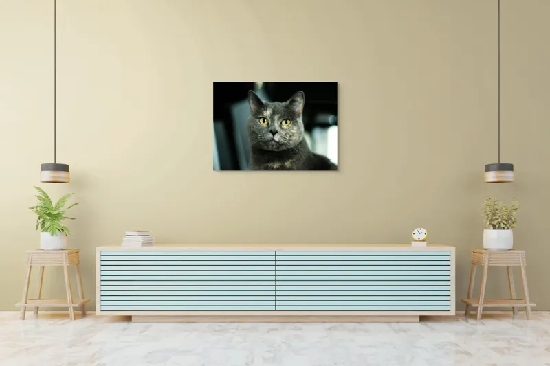 Tablou Canvas, "Misterul privirii feline enigmatic", Nu pot să îți spun cine e în imagine, dar pot să te ajut cu altceva legat de pisici sau fotografie., 100 x 70 cm – poza 4