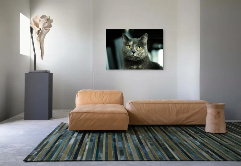 Tablou Canvas, "Misterul privirii feline enigmatic", Nu pot să îți spun cine e în imagine, dar pot să te ajut cu altceva legat de pisici sau fotografie., 100 x 70 cm – poza 7