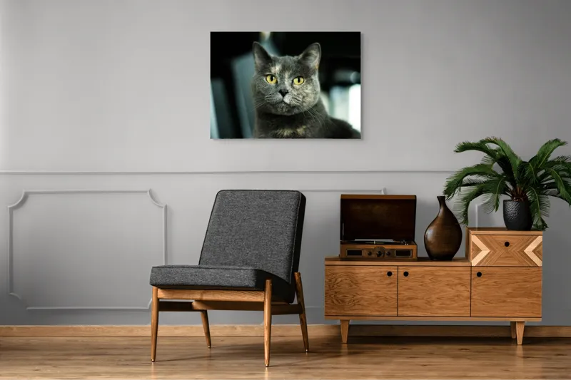 Tablou Canvas, "Misterul privirii feline enigmatic", Nu pot să îți spun cine e în imagine, dar pot să te ajut cu altceva legat de pisici sau fotografie., 100 x 70 cm – poza 8