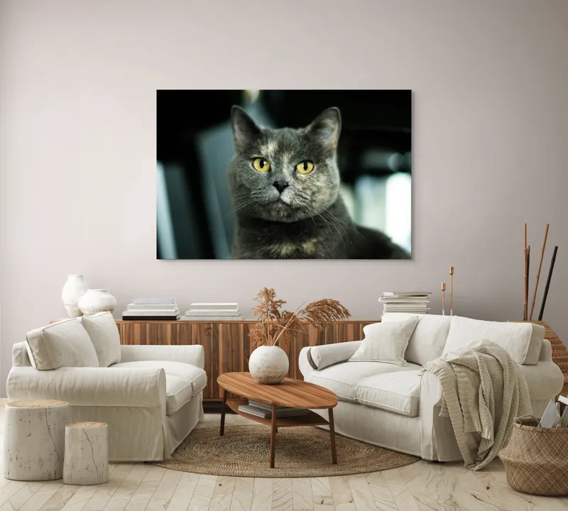 Tablou Canvas, "Misterul privirii feline enigmatic", Nu pot să îți spun cine e în imagine, dar pot să te ajut cu altceva legat de pisici sau fotografie., 150 x 100 cm – poza 3