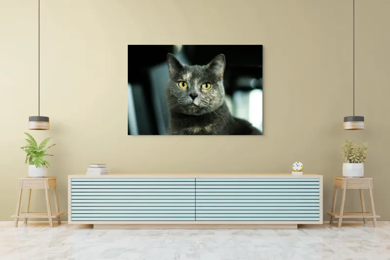 Tablou Canvas, "Misterul privirii feline enigmatic", Nu pot să îți spun cine e în imagine, dar pot să te ajut cu altceva legat de pisici sau fotografie., 150 x 100 cm – poza 6