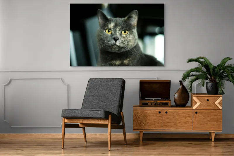 Tablou Canvas, "Misterul privirii feline enigmatic", Nu pot să îți spun cine e în imagine, dar pot să te ajut cu altceva legat de pisici sau fotografie., 150 x 100 cm – poza 8