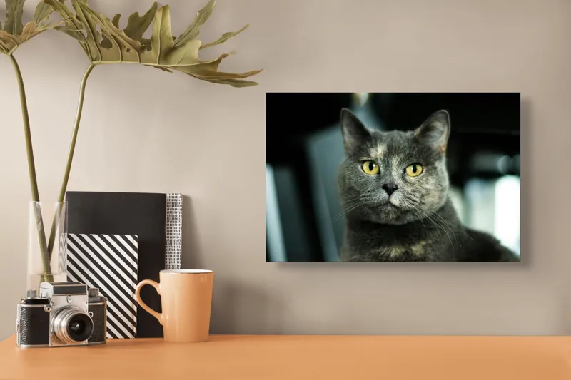 Tablou Canvas, "Misterul privirii feline enigmatic", 39 x 26 cm – poza 3
