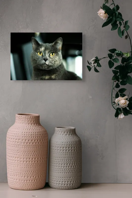 Tablou Canvas, "Misterul privirii feline enigmatic", 39 x 26 cm – poza 4
