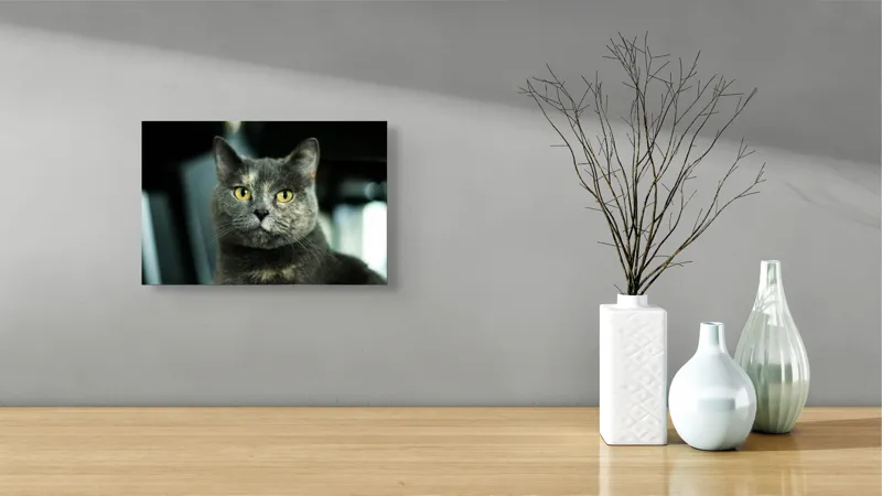 Tablou Canvas, "Misterul privirii feline enigmatic", 39 x 26 cm – poza 8