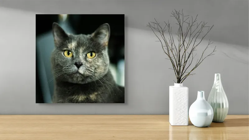 Tablou Canvas, "Misterul privirii feline enigmatic", Nu pot să îți spun cine e în imagine, dar pot să te ajut cu altceva legat de pisici sau fotografie., 50 x 50 cm – poza 3